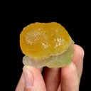 specimen video