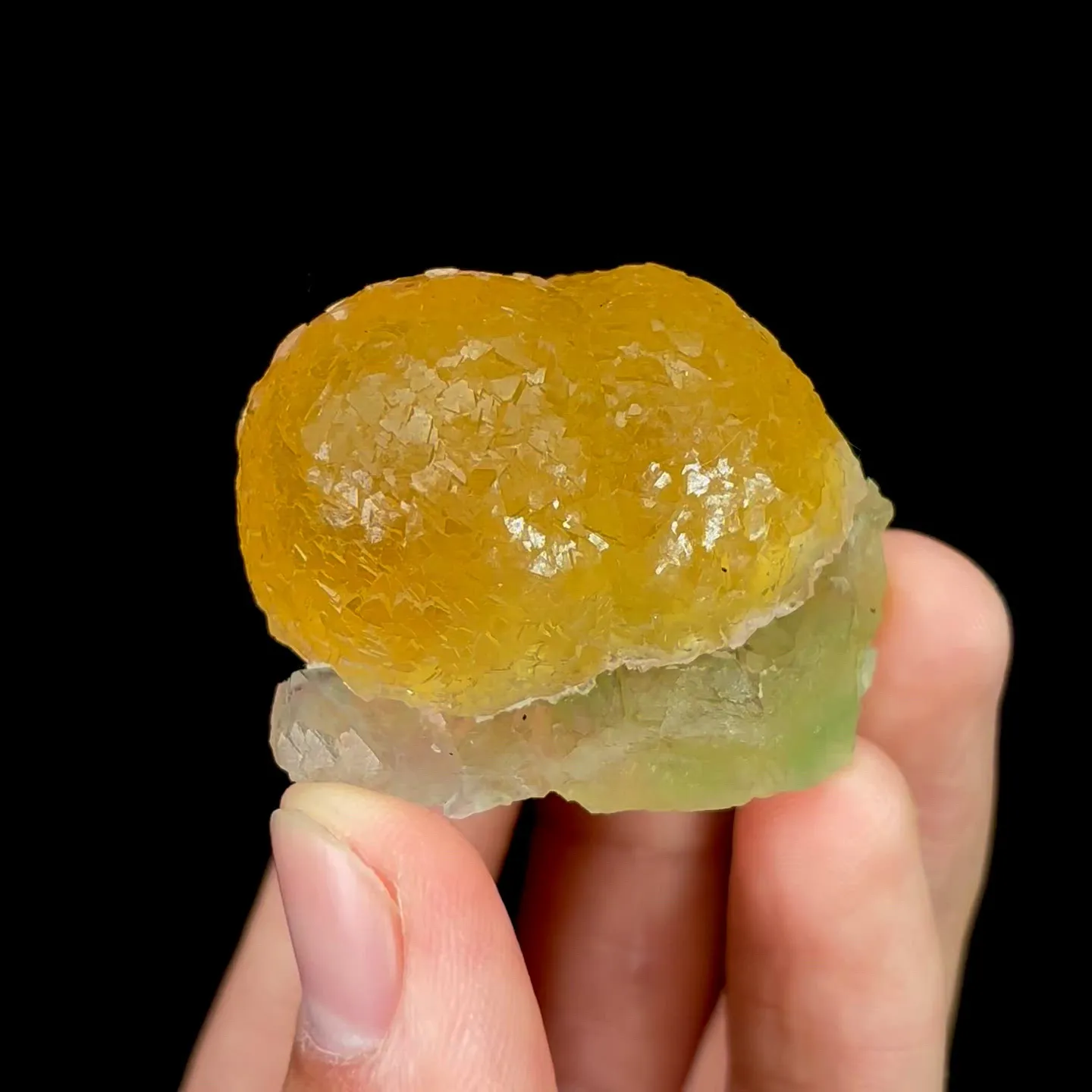 specimen video