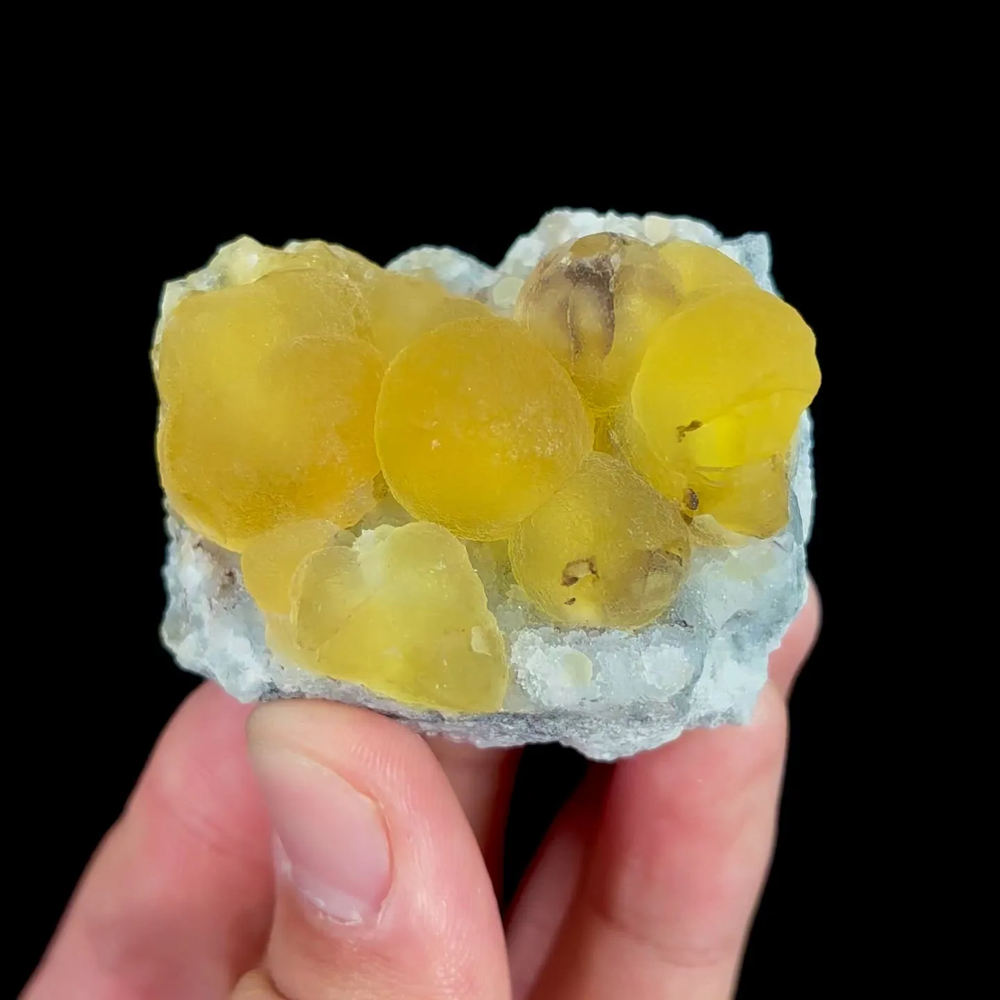 specimen video
