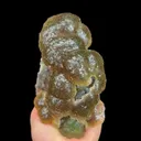 specimen video