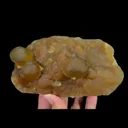 specimen video