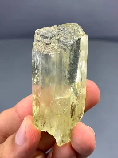 specimen video