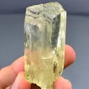 specimen video