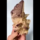specimen video