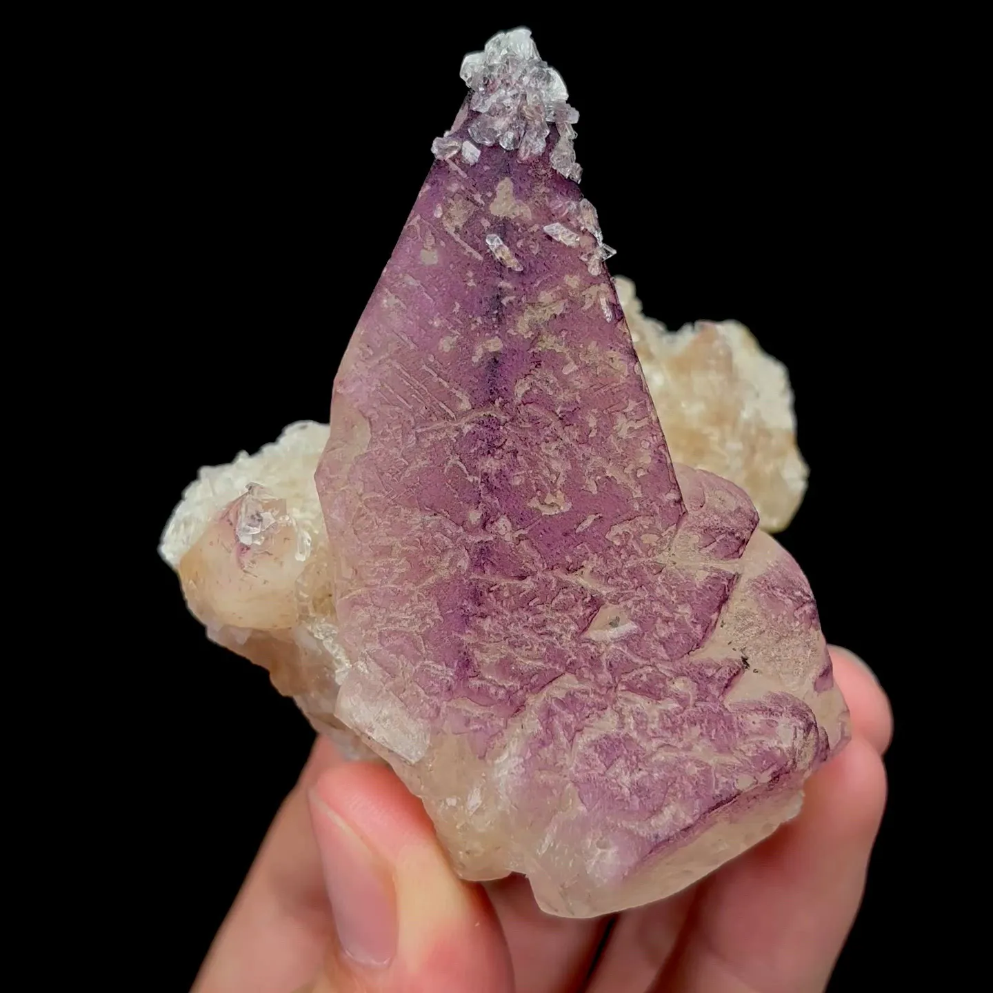 specimen video