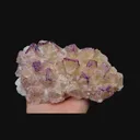 specimen video