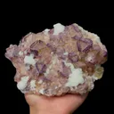 specimen video