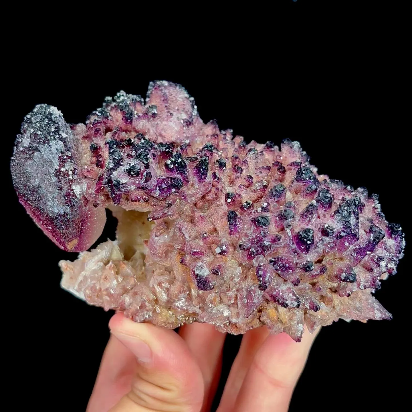 specimen video