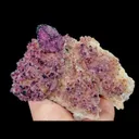 specimen video