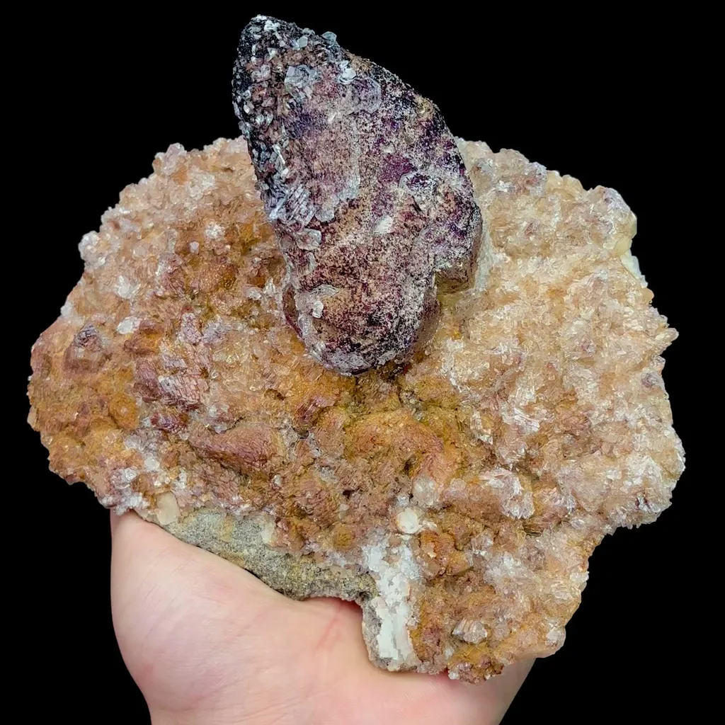 specimen video