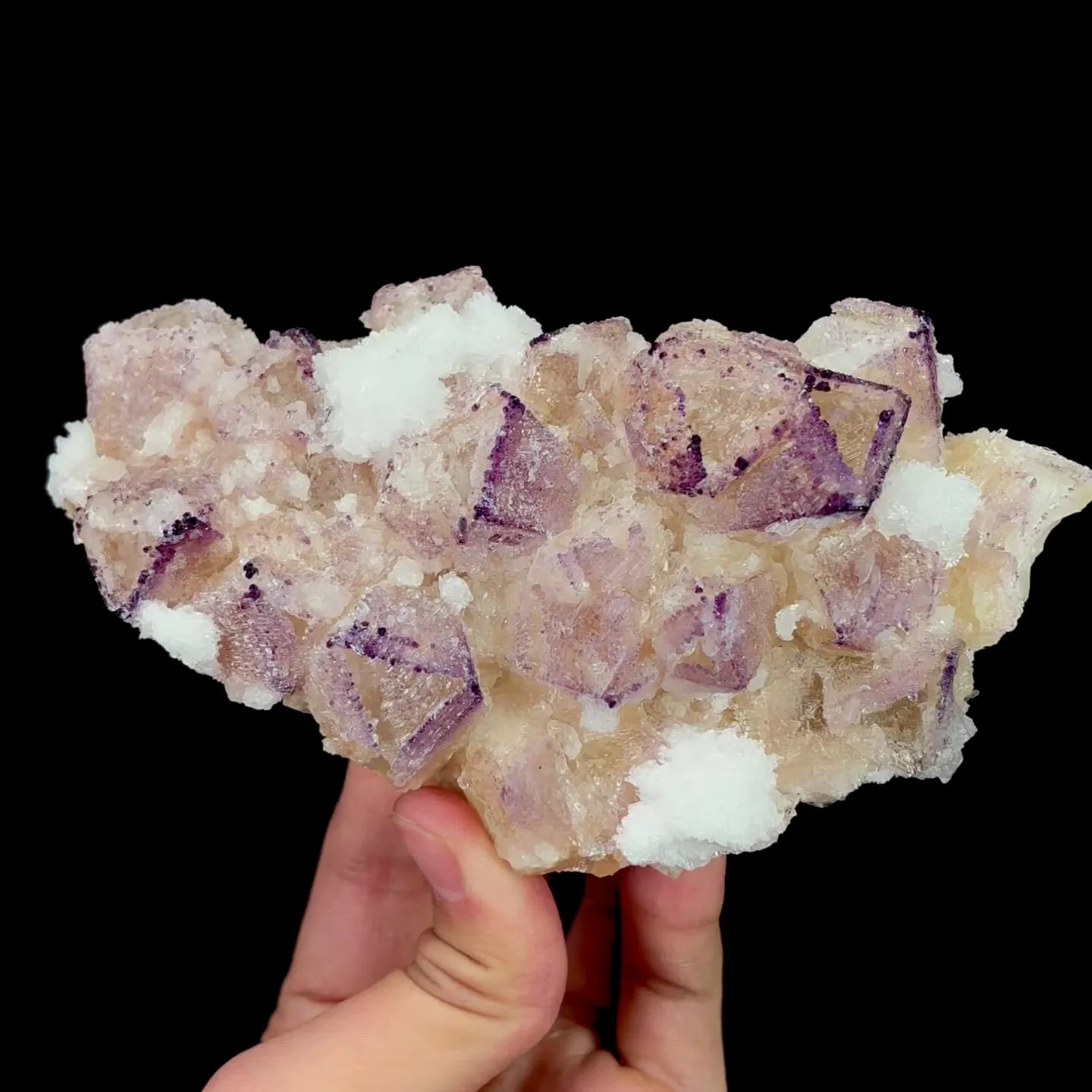 specimen video