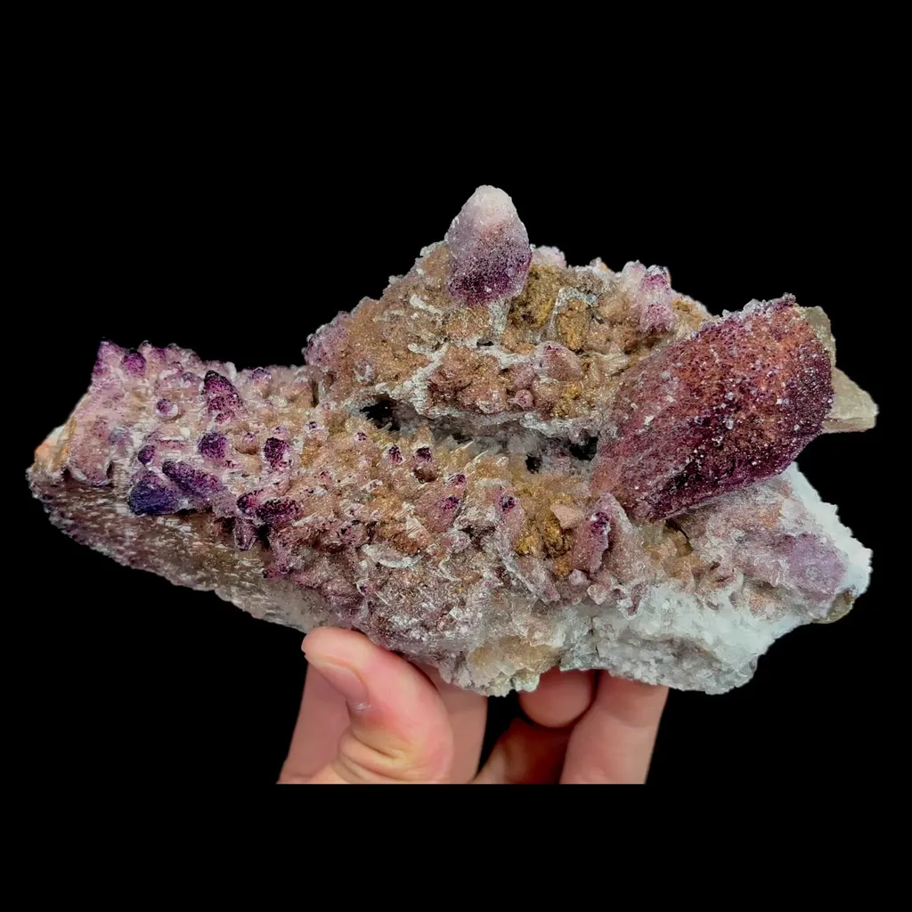 specimen video