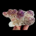 specimen video