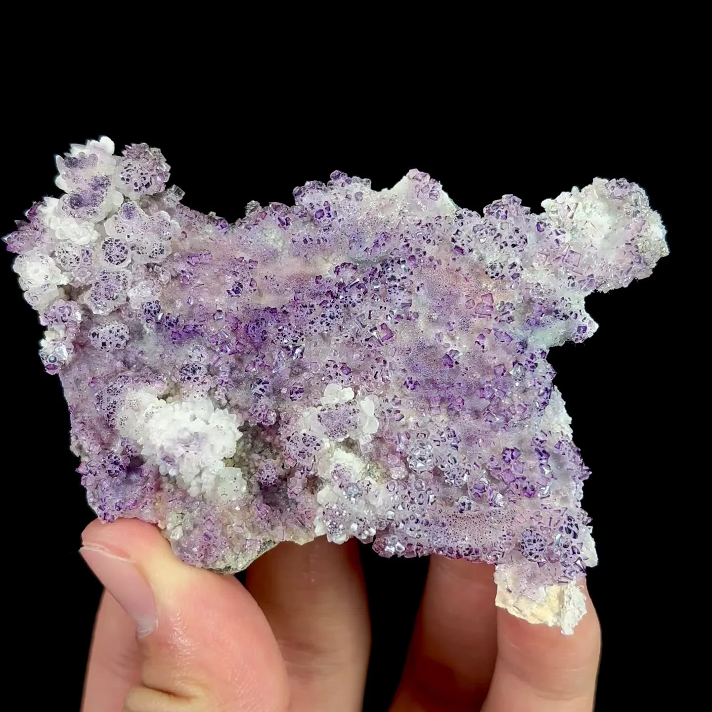 specimen video