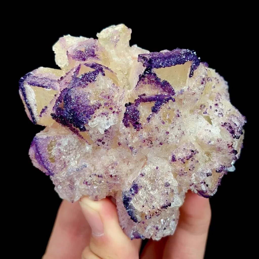 specimen video