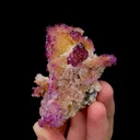 specimen video
