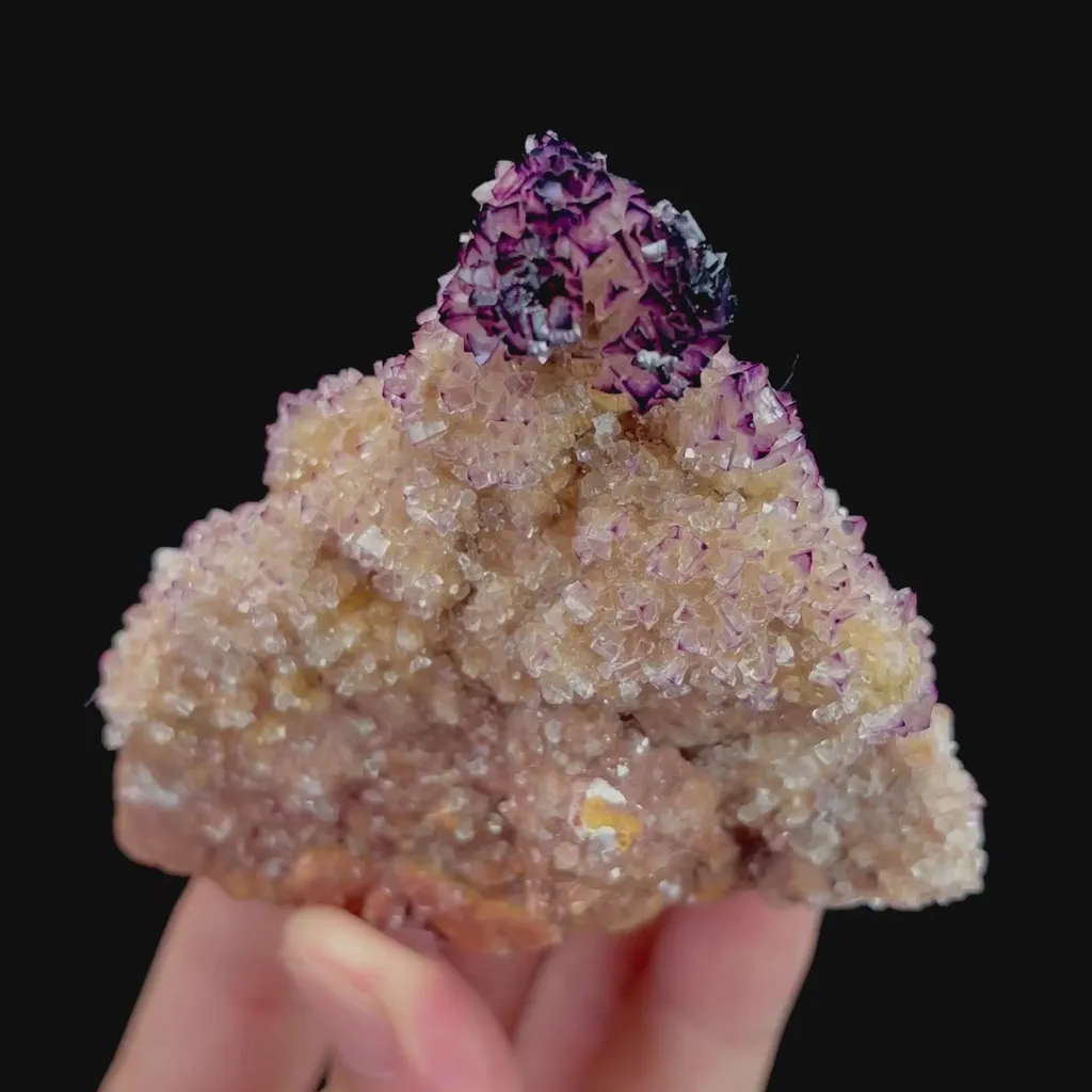 specimen video