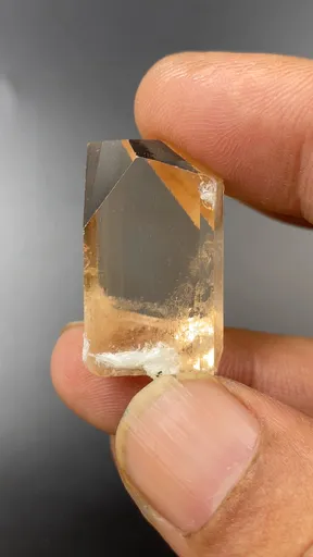 specimen video