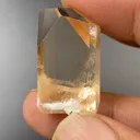 specimen video