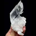 specimen video