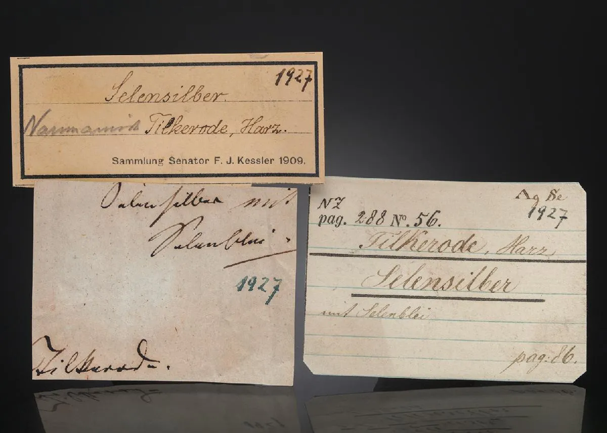 NAUMANNITE with Clausthalite - image 1