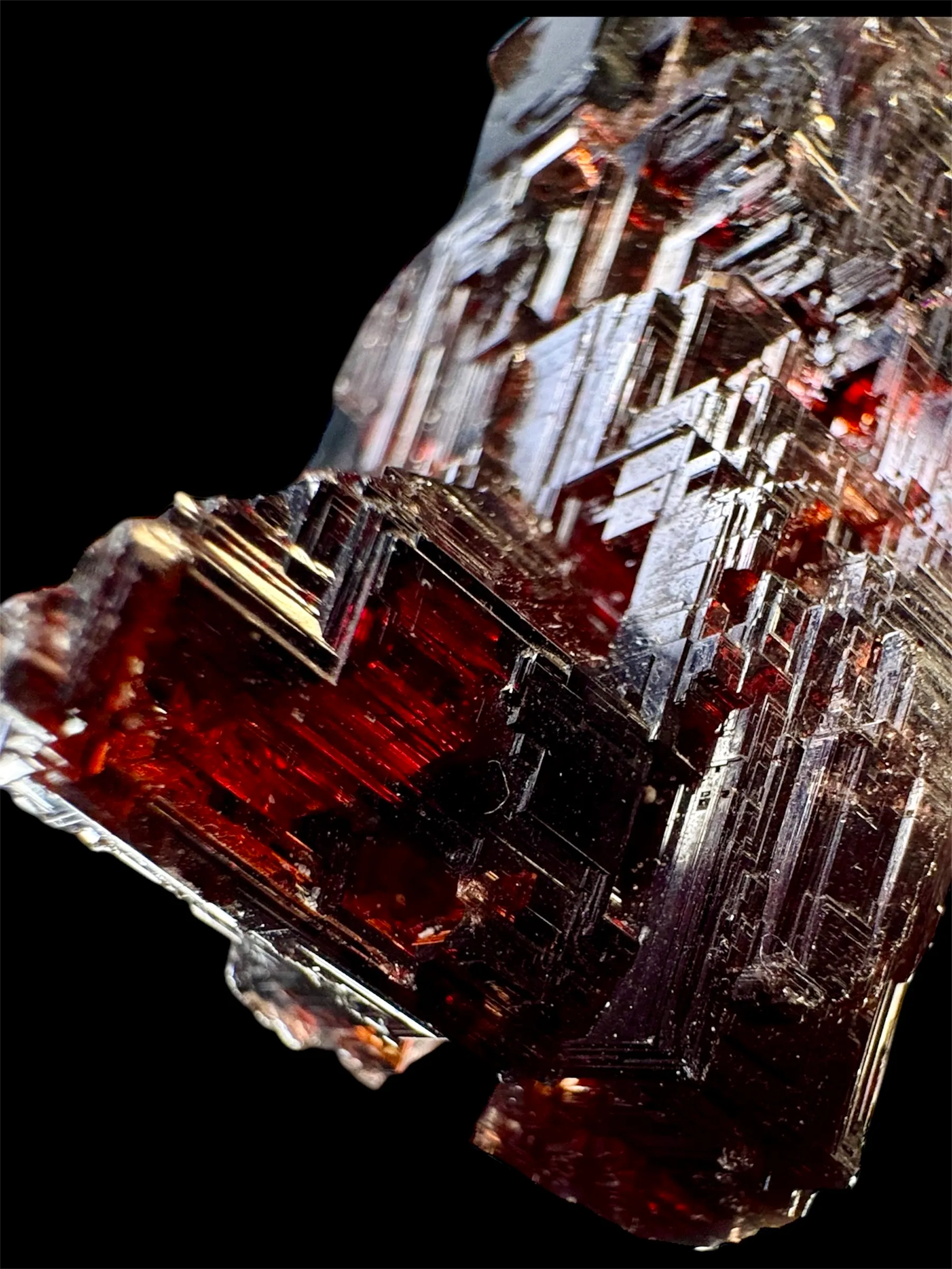 Navegadora Garnet - image 2