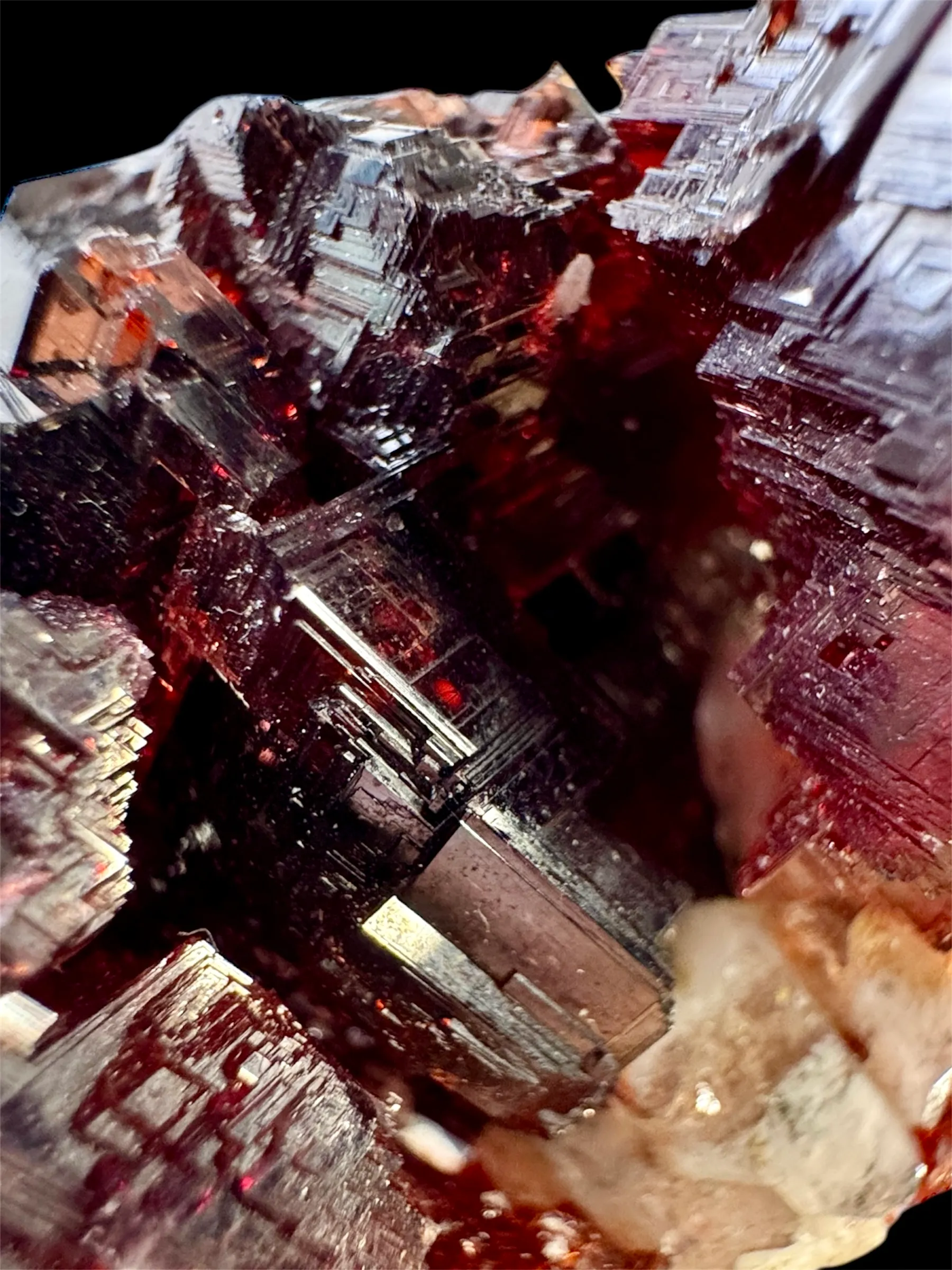 Navegadora Garnet - image 8