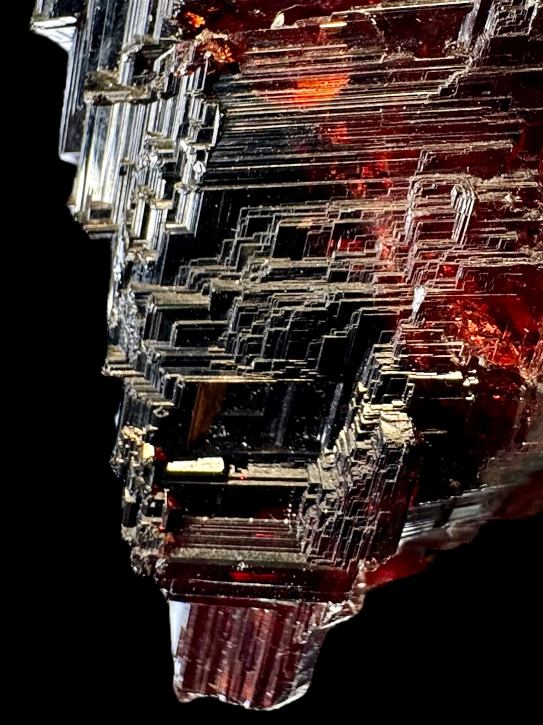 Navegadora Garnet - image 6