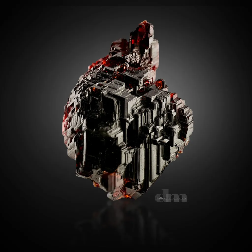 Navegadora Garnet image