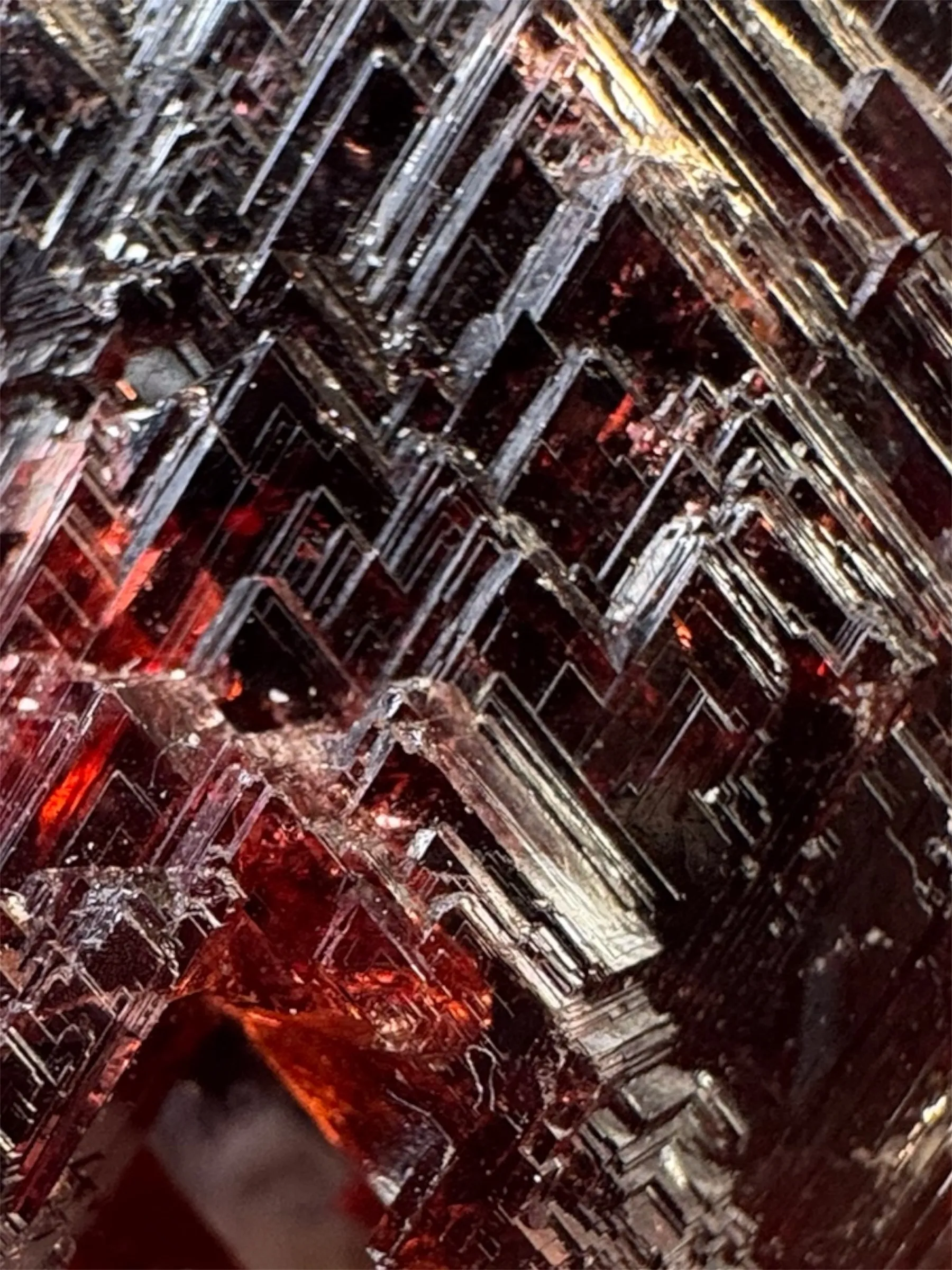 Navegadora Garnet - image 7