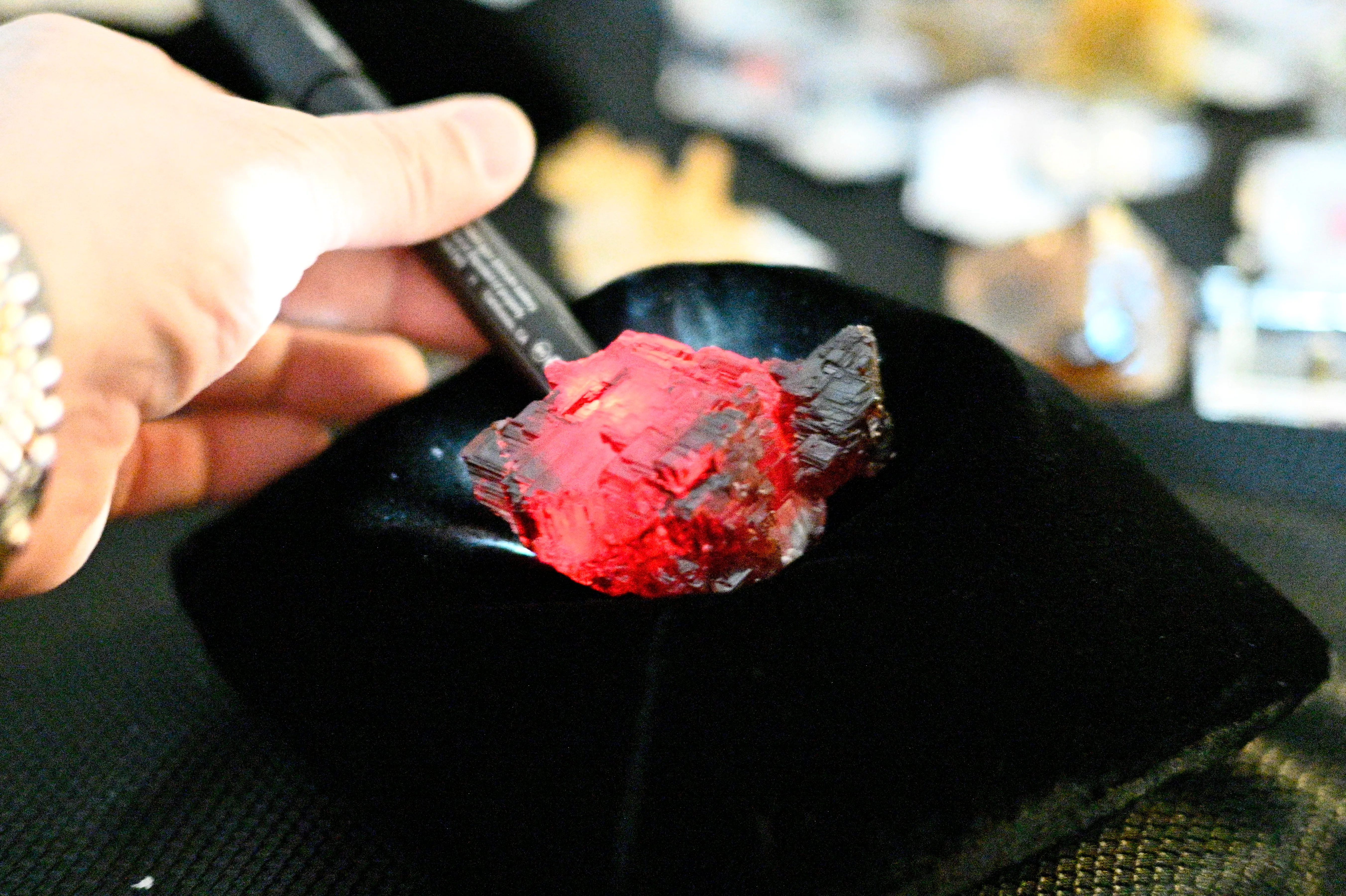 Navegadora Garnet - image 5