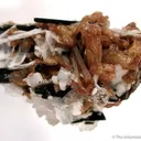 Nenadkevichite With Rhodochrosite, Aegirine, Elpidite - image 2