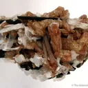 Nenadkevichite With Rhodochrosite, Aegirine, Elpidite - image 1