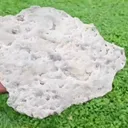 specimen video