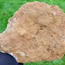 Neoformation calcite 1650 grams - Villers-lès-Nancy, Nancy, Meurthe-et-Moselle, Grand Est, France - image 6