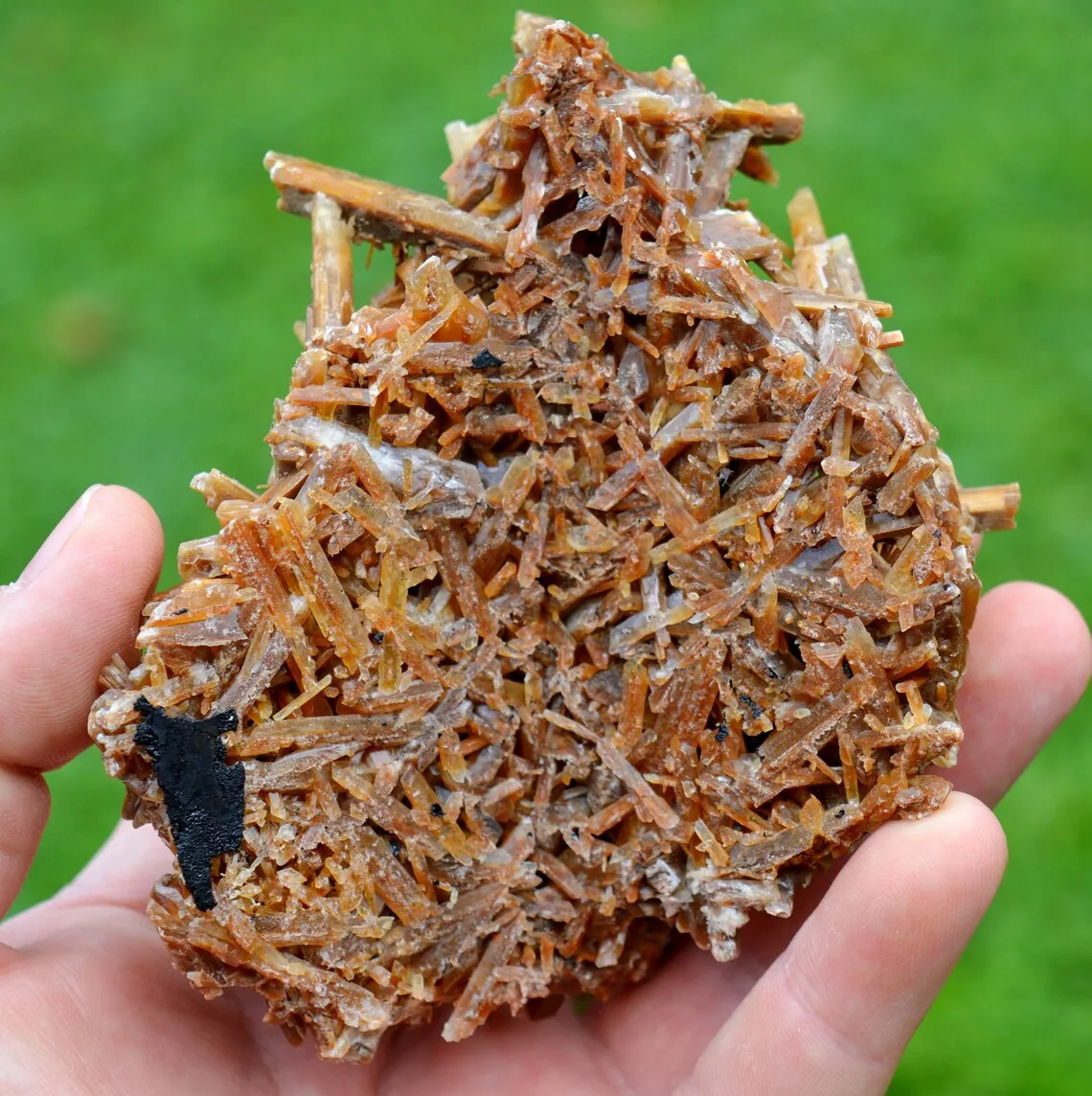 Neoformation gypsum 191 grams - Nancy, Meurthe-et-Moselle, Grand Est, France - image 8