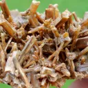 Neoformation gypsum 191 grams - Nancy, Meurthe-et-Moselle, Grand Est, France - image 5