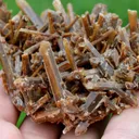 Neoformation gypsum 191 grams - Nancy, Meurthe-et-Moselle, Grand Est, France - image 7