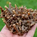 Neoformation gypsum 191 grams - Nancy, Meurthe-et-Moselle, Grand Est, France - image 1