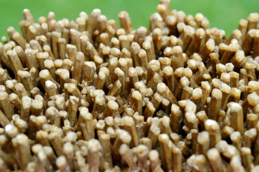 Neoformation gypsum 420 grams - Nancy, Meurthe-et-Moselle, Grand Est, France - image 3