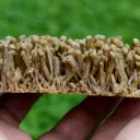 Neoformation gypsum 420 grams - Nancy, Meurthe-et-Moselle, Grand Est, France - image 2