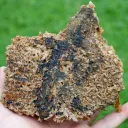 Neoformation gypsum 700 grams - Nancy, Meurthe-et-Moselle, Grand Est, France - image 10
