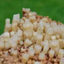 Neoformation gypsum 906 grams - Nancy, Meurthe-et-Moselle, Grand Est, France - image 5