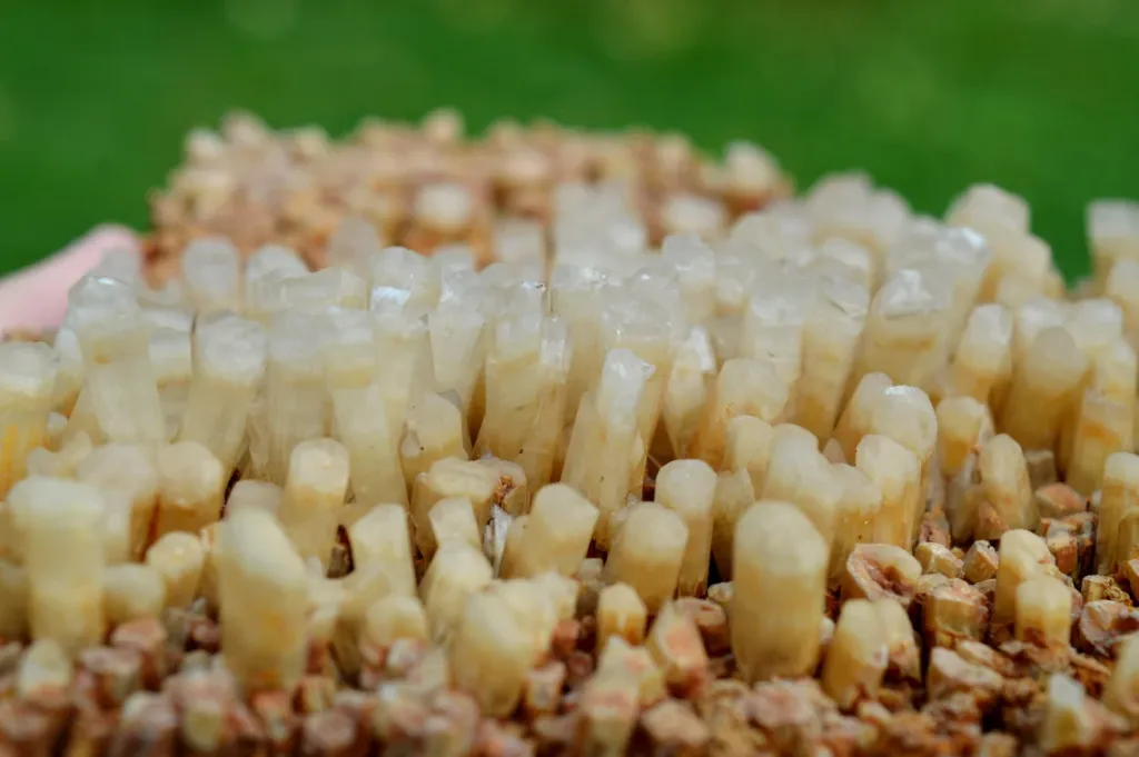 Neoformation gypsum 906 grams - Nancy, Meurthe-et-Moselle, Grand Est, France - image 2