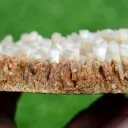 Neoformation gypsum 906 grams - Nancy, Meurthe-et-Moselle, Grand Est, France - image 7