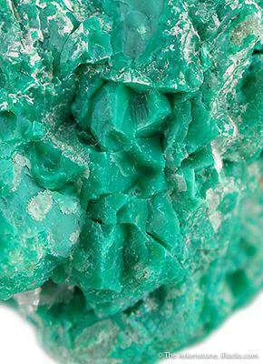 Nepouite With Quartz - image 3