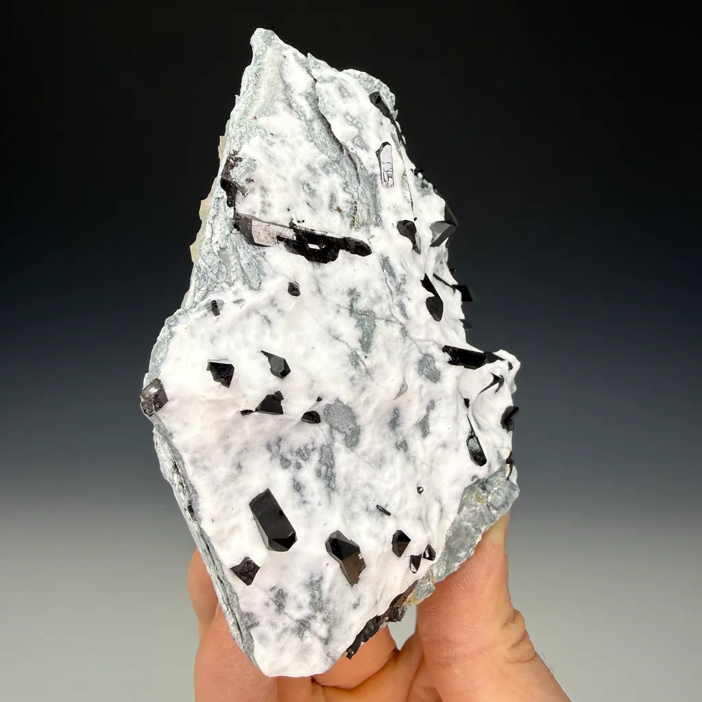 Neptunite - image 4