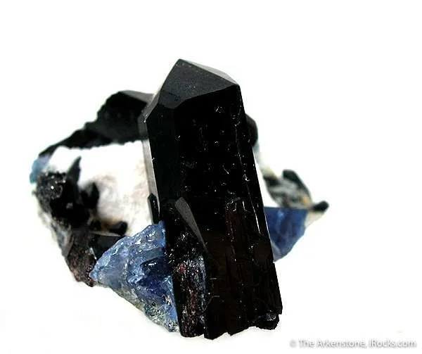 Neptunite image