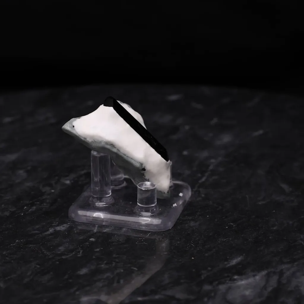 Neptunite - image 2