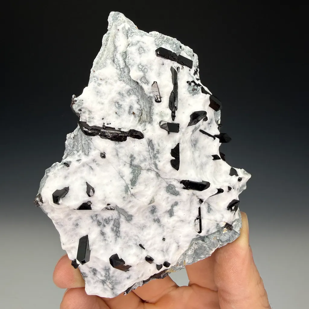 Neptunite - image 2